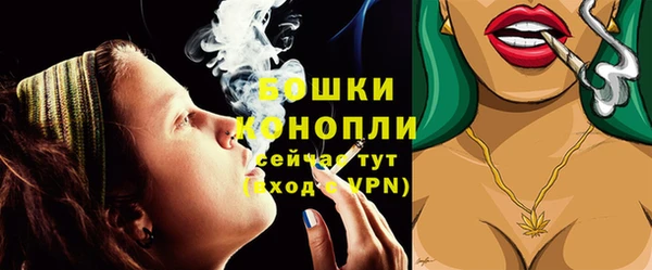 бошки Няндома