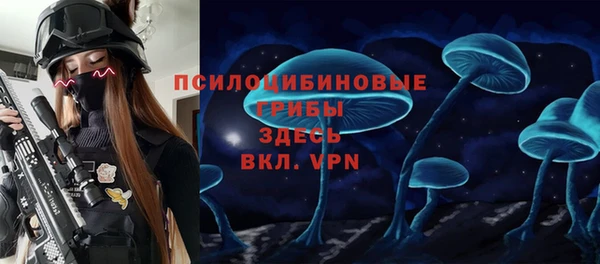 бошки Няндома