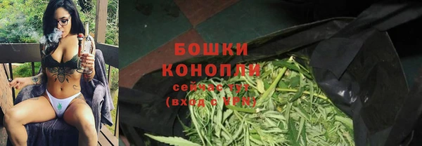 apvp Новозыбков